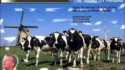 Binary Form - Calling (Flashtech Remix) [Ripped from The Sound Of Holland 126]