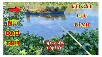 Câu CÁ RÔ ĐỒNG. Vô Tình Gặp Nữ Cần Thủ Ẩn Danh Chia Sẽ Bí Quyết & Cách Câu Được Nhiều Cá Ở Khu Này.