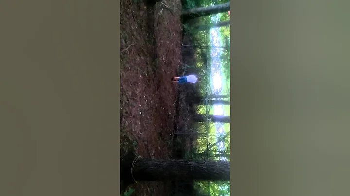 Benjamin catching fireflies