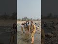 School picnic