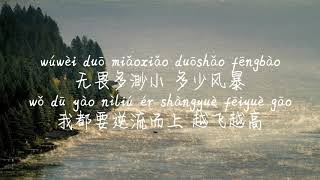 【闪耀-汪苏泷】SHAN YAO-WANG SU LONG /TIKTOK,抖音,틱톡/Pinyin Lyrics, 拼音歌词, 병음가사/No AD, 无广告, 광고없음