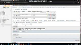 How to insert data into database(MySQL XAMPP) using php in urdu/hindi tutorial