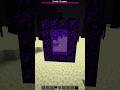 working nether portal in the end thumbnail