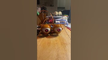 Animatronic Human Eyes