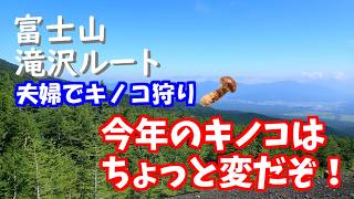 Mushroom Hunting on Mt. Fuji as a Couple: The Mushrooms Are a Bit Weird This Year!