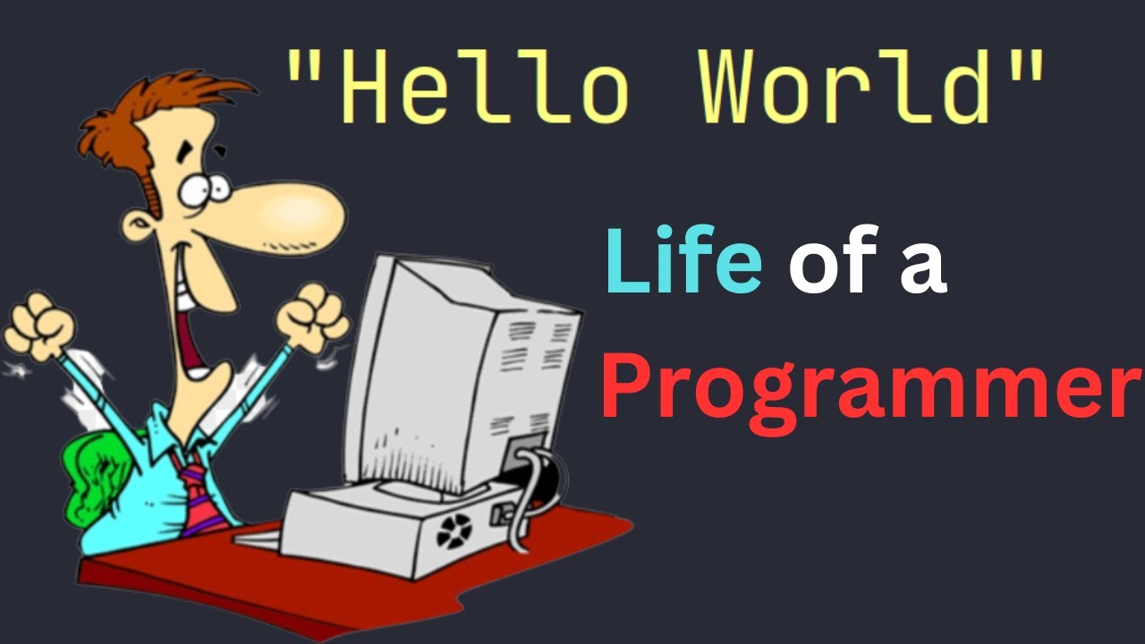 Life of a Programmer