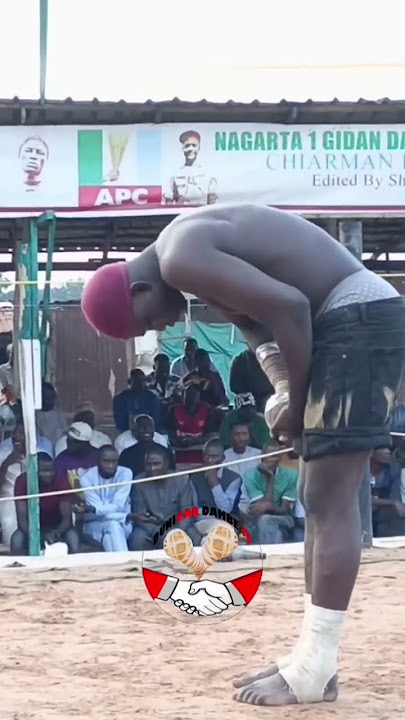 Alasan masifane wajen dambe #izzarso #sportsdrama #duet #lifeisbutadream #june19 #szariahausa