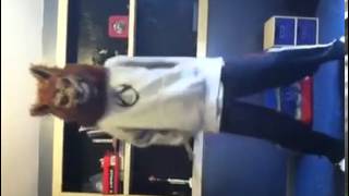 Harlem Shake