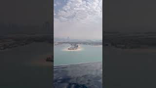 Dan Bilzerian girl share pool view