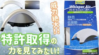 【エアーポンプ】特許を取得したハイパワーな次世代モデル登場！威力が強すぎて分岐したぜ。テトラ ウィスパーエアーWA-120【ふぶきテトラ】