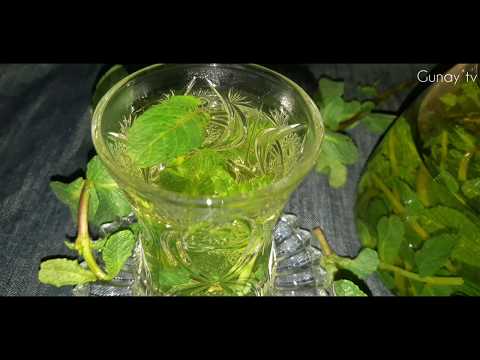 Mualicevi bitki cayi❗Yarpiz çayı ve faydalari