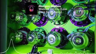 Wasted On You - Morgan Wallen (35,40hz) Low Bass by DJ Nelly