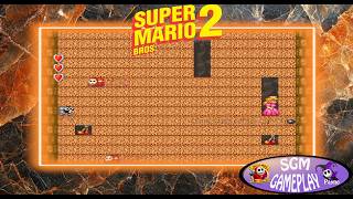 WORLD 2-1-SUPER MARIO BROS 2