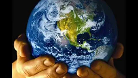 Como os insetos contribuem para preservação ambiental?