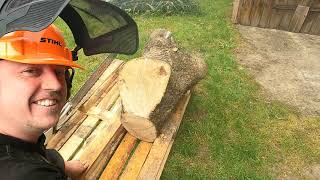 Chainsaw mill (free) cheap & easy & dangerous