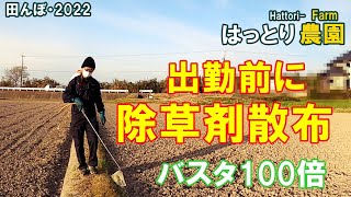 Before going to work, I spray herbicide on the ridges of rice