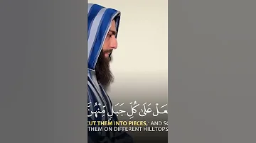 واذ قال ابراهيم رب ارني كيف تحيي الموتى محمد ديبيروف 