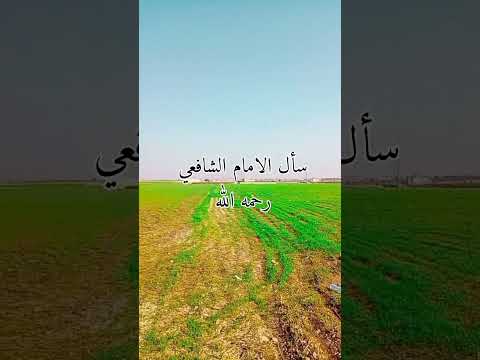 بر الوالدين قال ايتخاصم الرجل مع والديه تيك توك كندا تجارة إليكترونية رونالدو