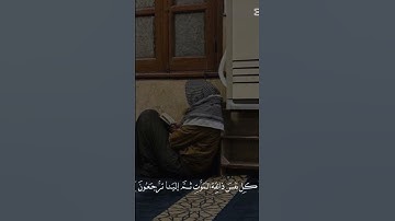 أكتب شيء تؤجر عليه💗#سورة_العنكبوت#quran#اكسبلور#تلاوة_هادئة#أذكر_نفسي_و_اياكم#صلوا_على_النبي#ﷺ