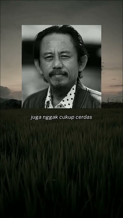 story wa kata kata kang mus preman pensiun