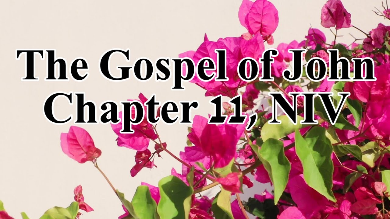 The Holy Bible - The Gospel of John Chapter 11 (Audio Bible - NIV ...
