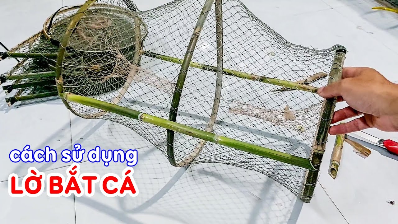 Cách sử dụng lờ bắt cá các loại và vài kinh nghiệm - YouTube
