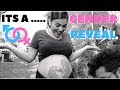 Gender Reveal!! Pregnancy Update!! Pregnant with Kidney Stones!
