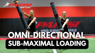 What is Omni-Directional Sub-Maximal Loading