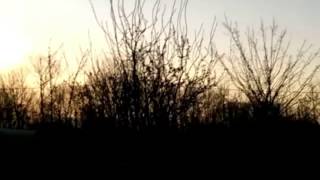 Birds explode in slowmo - bird popper - medion