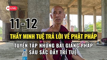 🔥 Trực tiếp Thầy Minh Tuệ Trả Lời Câu Hỏi Về Phật Pháp | Pháp Thoại Hay 2025