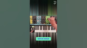 The Legacy of Moog: Grandmother Synth Uncovered