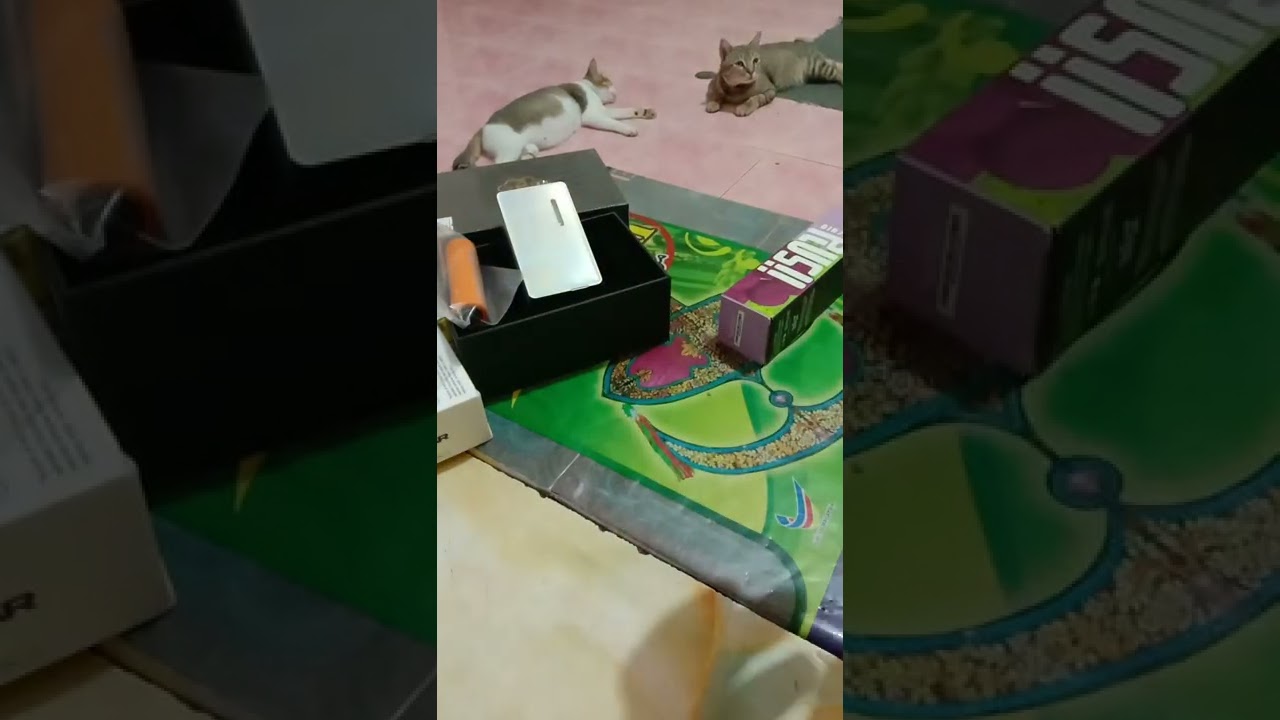 Dot mot v2 raya 2022