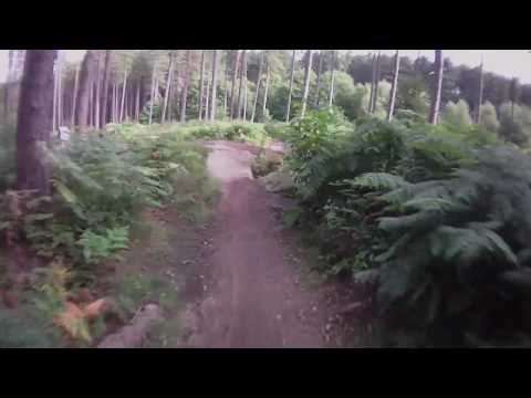 Sherwood Pines Downhill Section with Rock Jump