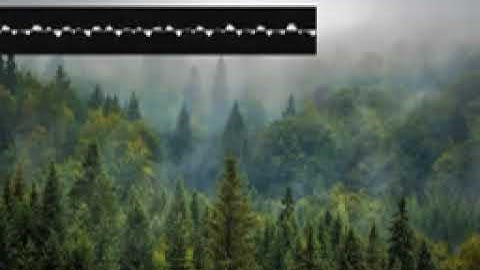 Segnocomposer China cwlpzurnhk