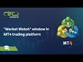 XM.COM - MT4 Tutorials - Chart Window Basics - YouTube