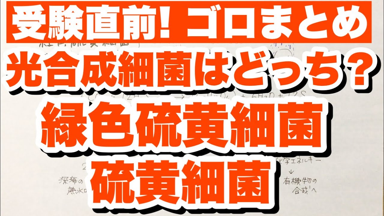 緑色硫黄細菌 紅色硫黄細菌と硫黄細菌の違いの覚え方 語呂合わせ 光合成細菌と化学合成細菌 ゴロ生物 Youtube
