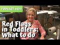 Podcast 371 Red Flags for Communication Delays in Toddlers...What to Do teachmetotalk.com Laura Mize