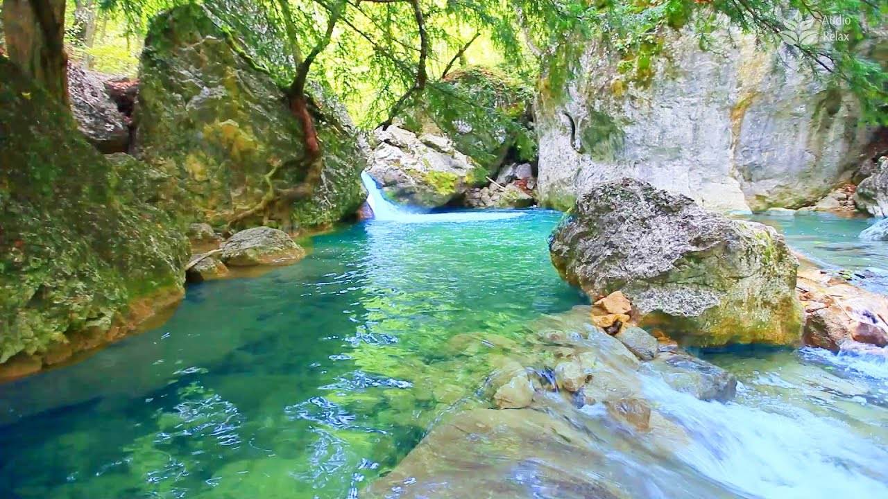 Peaceful Forest River Flowing Sounds (10 hours White noise for sleeping) 