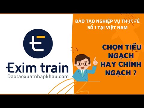 Video: Kim ngạch ngoại thương - là gì?