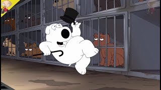 Family Guy Euthanize Brian