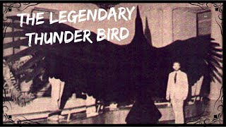 The Legendary Thunderbird