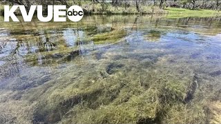TCEQ to weigh in on Liberty Hill water treatment fight
