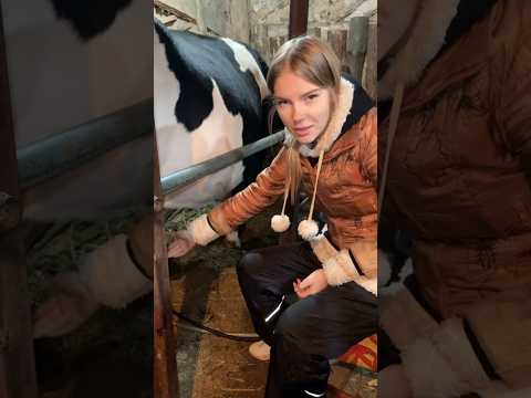 Мой инст n.vichka #деревня #село #хозяйство #animal #cow #россия #глубинка