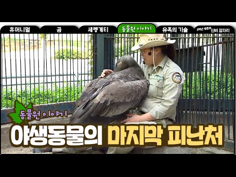 동물원 이야기 #1 - Epilogue - Story of a Zoo, #11, 에필로그