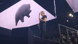Roger Waters "Have A Cigar" Paris 04/05/2023