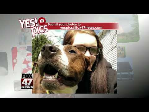 Yes! Pics: 8/21/17