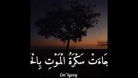 الشيخ  اسلام صبحي  سورة ق الآية  16