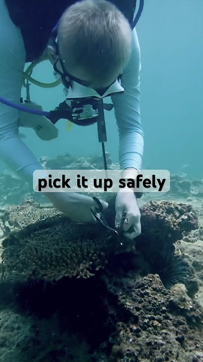 PADI aware week is almost over. Here’s some tips how to be an aware diver #padi