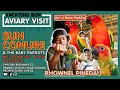 SUN CONURE & THE BABY PARROTS | BEST BREEDING CAGE FOR PARROTS | AVIARY VISIT WITH RHOWNEL PINEDA