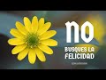 No Busques la Felicidad - Desapégate de Todo - Por Elías Berntsson